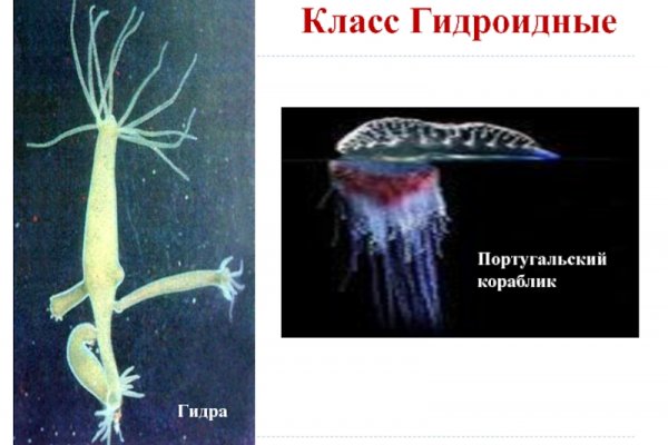 Kra37.cc Вход на сайт главная страница